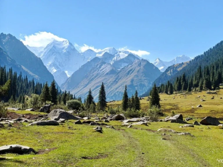 Snow-capped mountains and pine forest at Alma Arasan