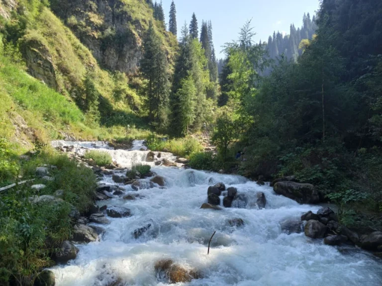 Forest trail in the Alma Arasan gorge, Kazakhstan