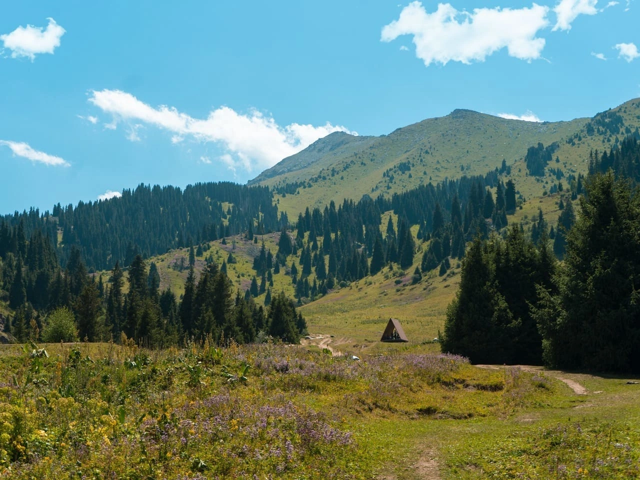 Green alpine valley with snowy peaks near Alma Arasan hot springs