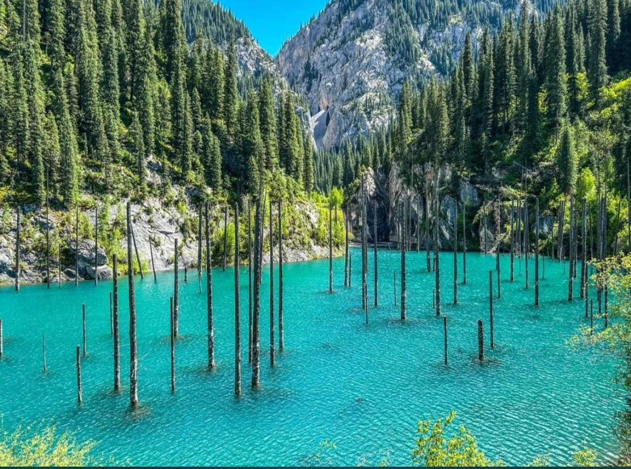 Kaindy Lake shore with spruce forest, Almaty region
