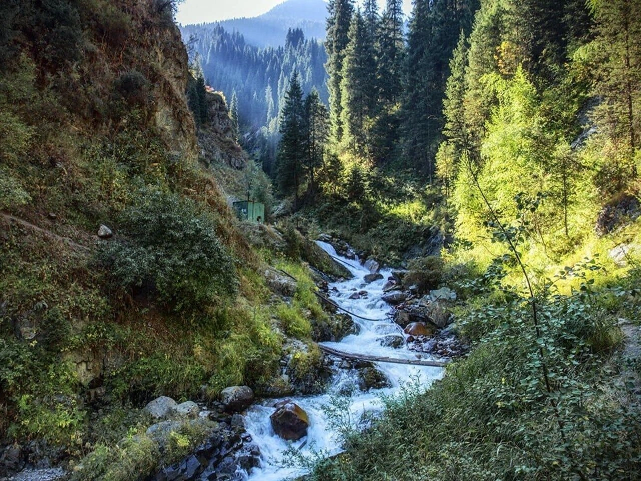 Mountain river in a narrow forest canyon near Alma Arasan hot springs