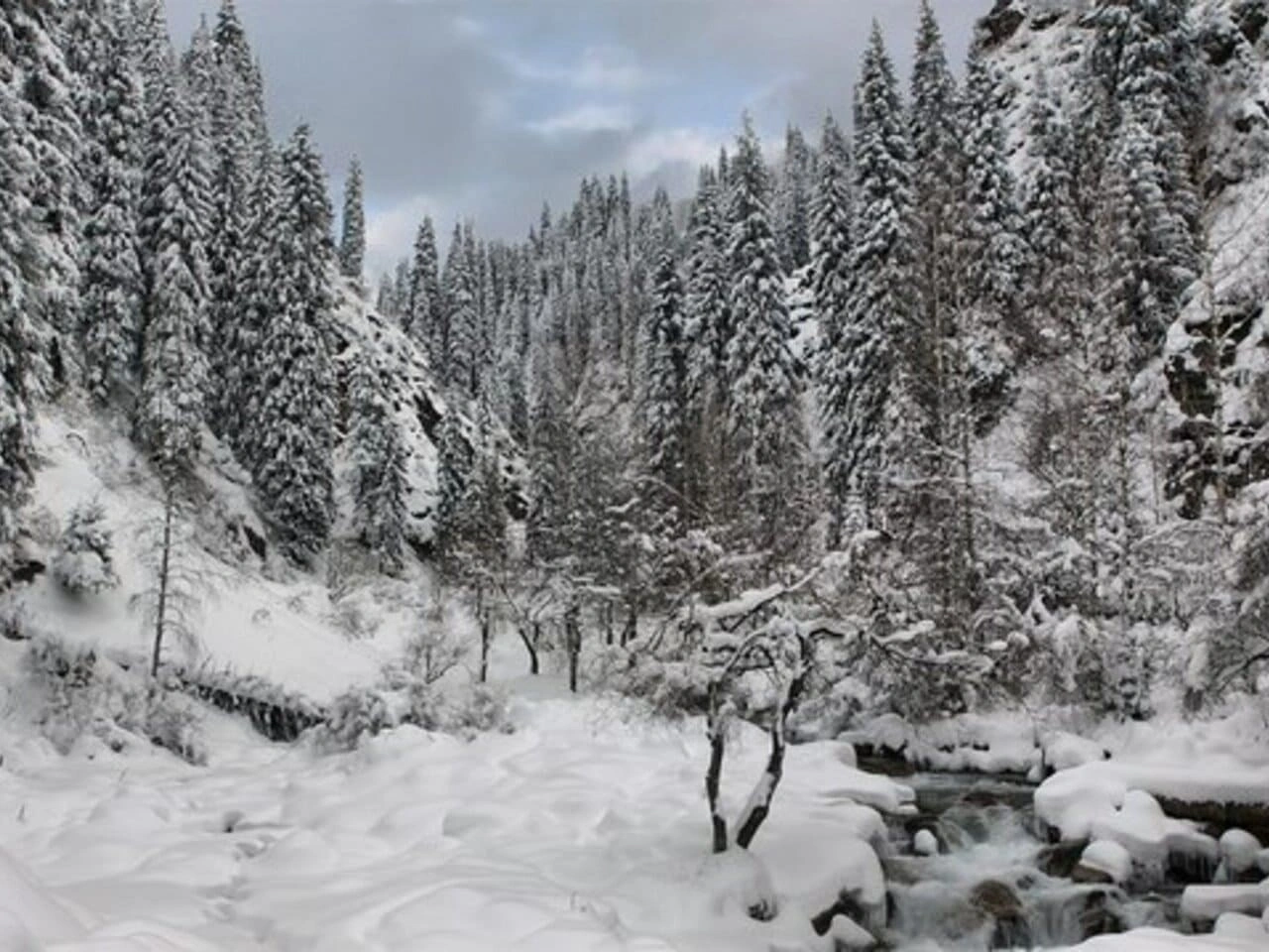 Winter forest and mountain river scenery in Ile-Alatau National Park near Almaty