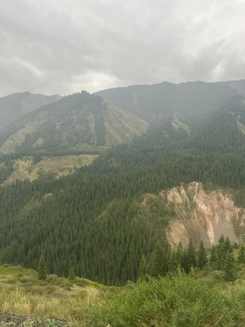 Mountain slopes covered with spruce forest near Kolsai Lake