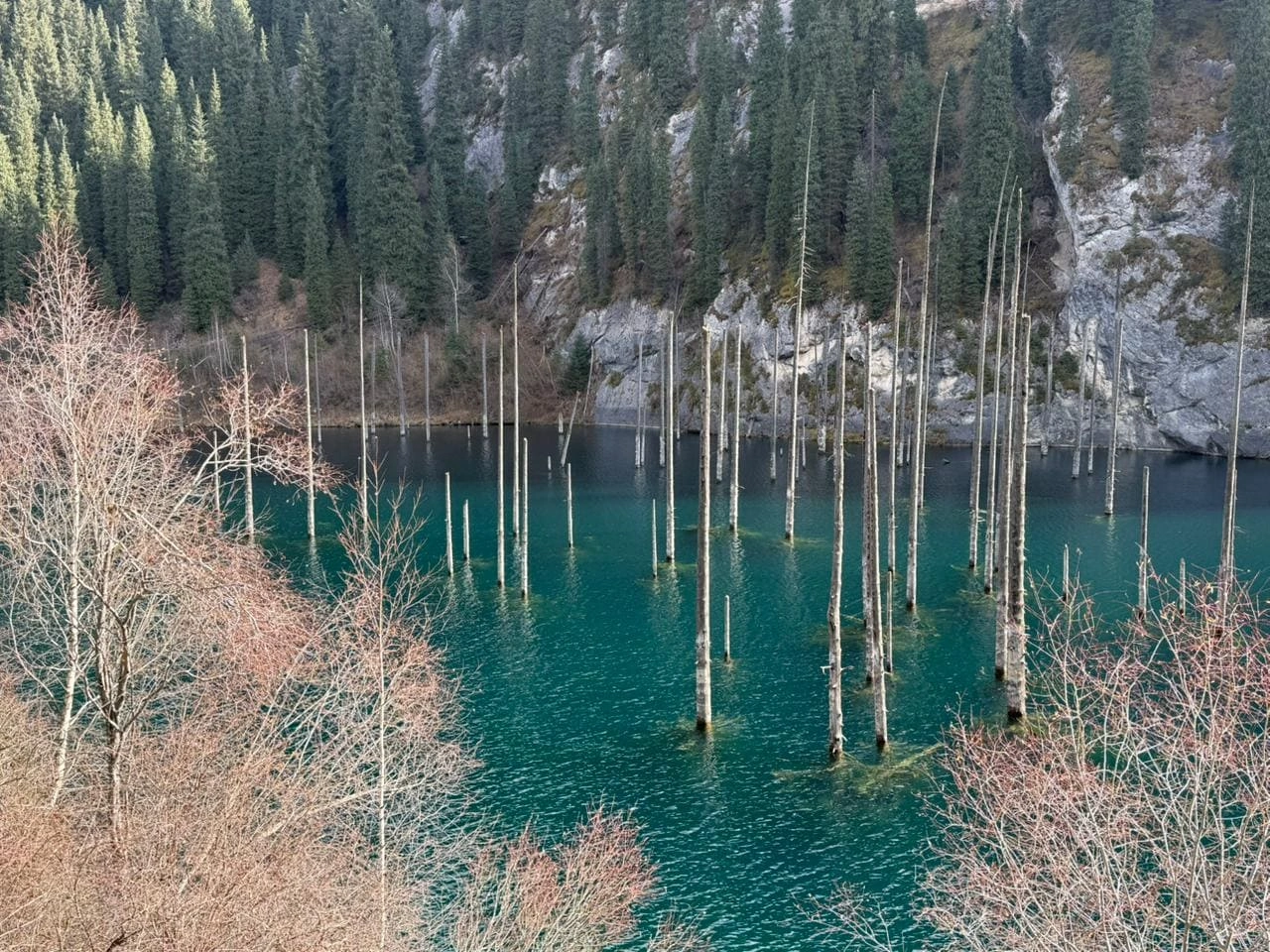 Mountains and trees reflected in the emerald water of Kaindy Lake
