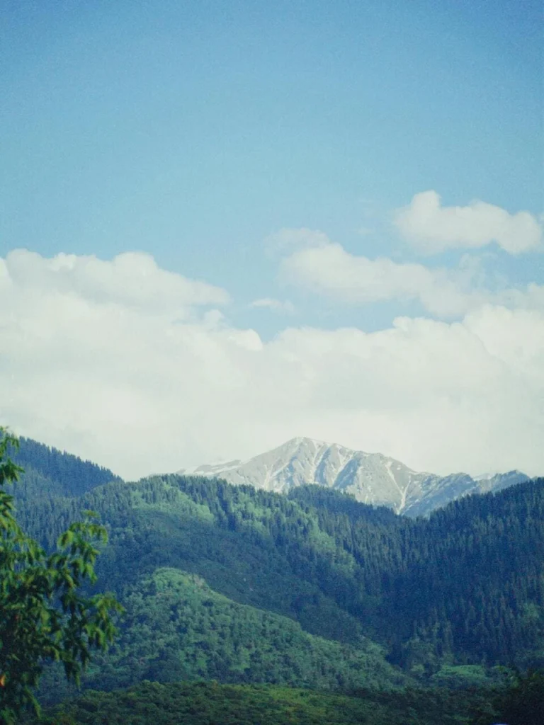 Forest and snow peaks in the Almaty mountains