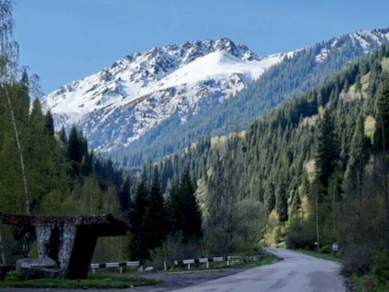 Alma Arasan Hot Spring Tour 2 Alma Arasan area view with snowy mountain ridge and dense pine forest near Almaty