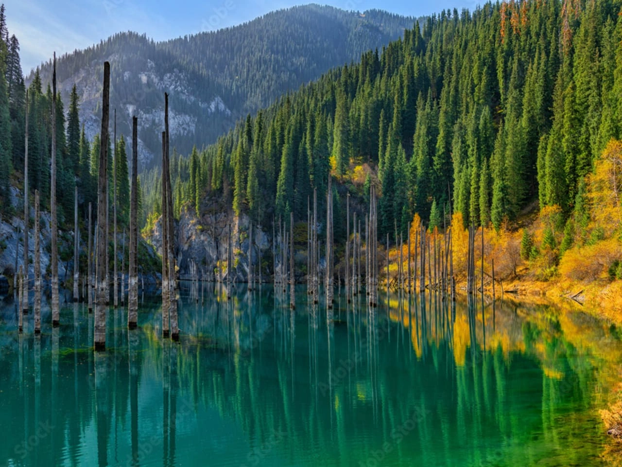 Close-up of the underwater tree trunks rising from Kaindy Lake’s turquoise surface in Kazakhstan.