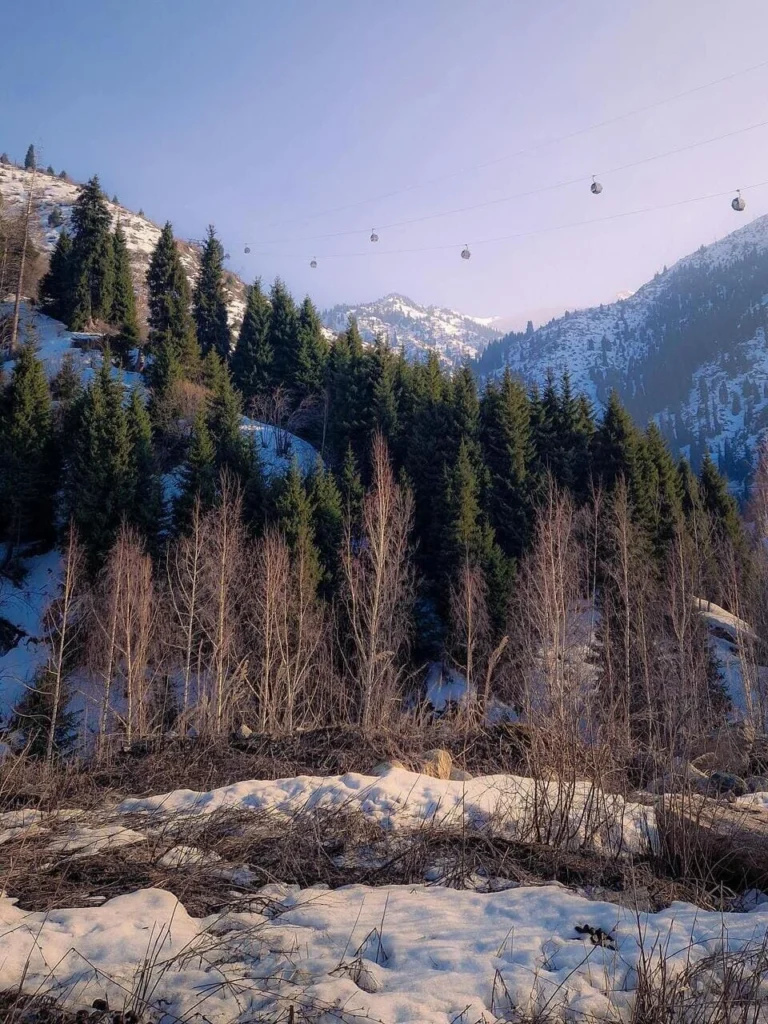 Cable cars over snowy mountains and pine forest near Medeo Kazakhstan.