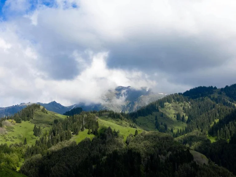 mountain slopes and forest in almaty region